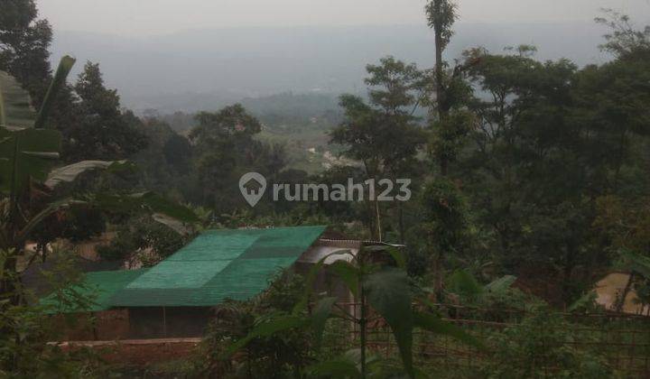 Tanah sangat murah luas 9800 m2 view bagus nuansa pegunungan Sukaluyu nanggung bogor 4