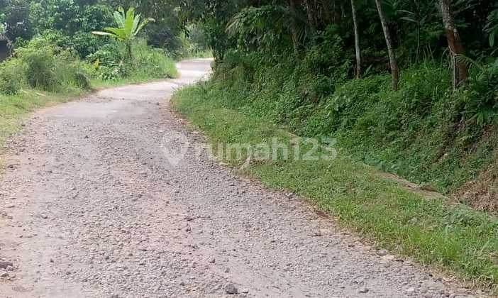 Tanah sangat murah luas 9800 m2 view bagus nuansa pegunungan Sukaluyu nanggung bogor 5