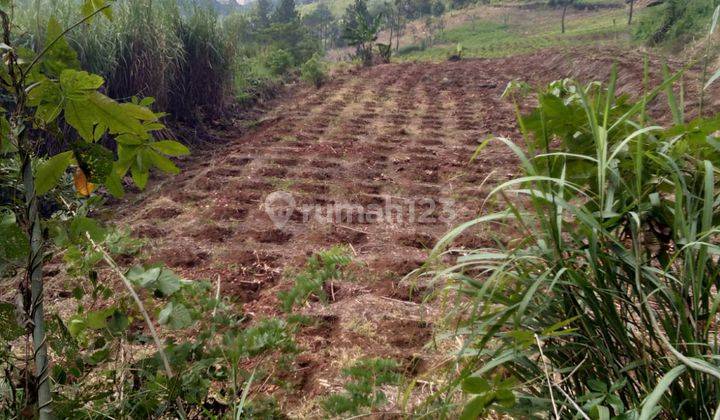 Murah Tanah Strategis jalur Provinsi Cikidang Sukabumi 3