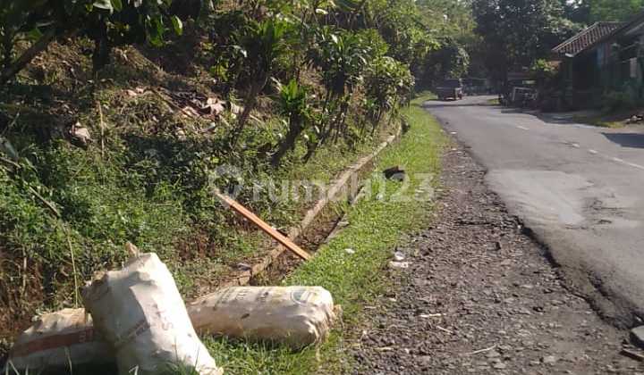 DIJUAL cepat Lahan Kebun Kopi di Desa Bojong tipar, Purabaya Sagaranten,  Sukabumi 1