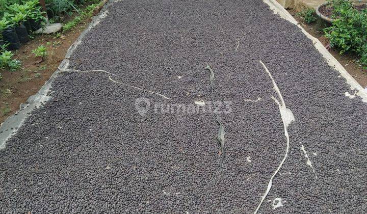 DIJUAL cepat Lahan Kebun Kopi di Desa Bojong tipar, Purabaya Sagaranten,  Sukabumi 3