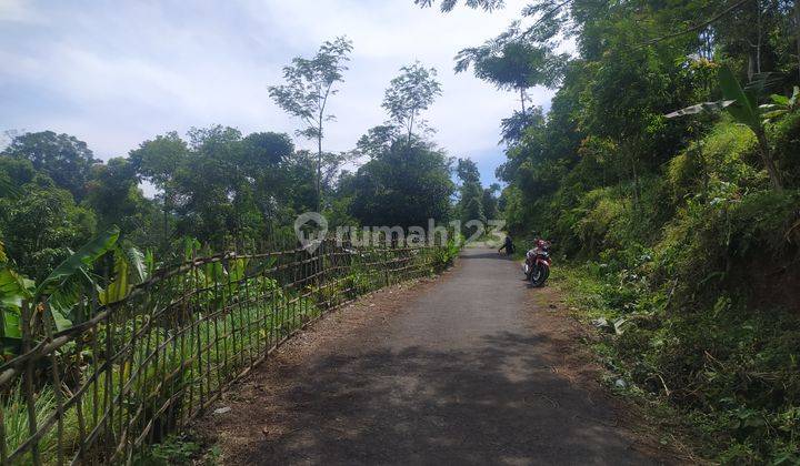 BU Tanah Murah Luas 9800 m2 The Best View Nanggung Bogor 1