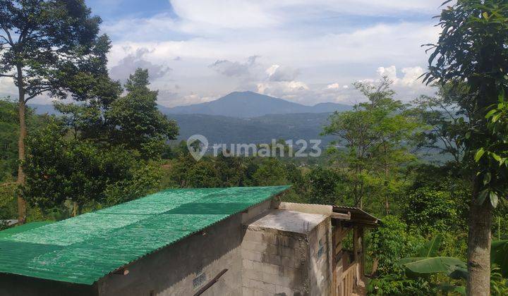 BU Tanah Murah Luas 9800 m2 The Best View Nanggung Bogor 3