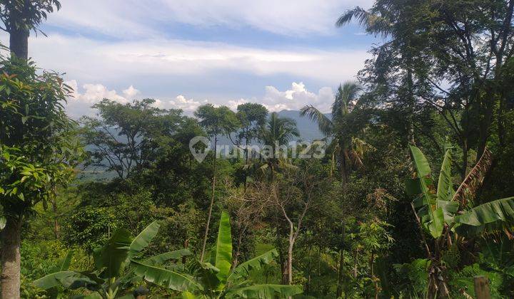 BU Tanah Murah Luas 9800 m2 The Best View Nanggung Bogor 4