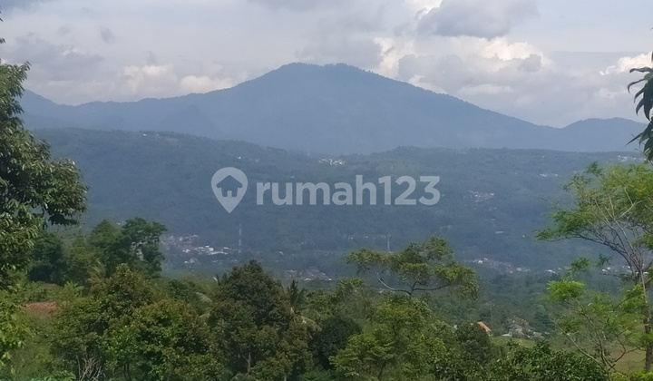BU Tanah Murah Luas 9800 m2 The Best View Nanggung Bogor 5