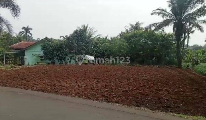 Tanah murah dan Strategis Pinggir jalan Pabuaran Kemang Bogor 4