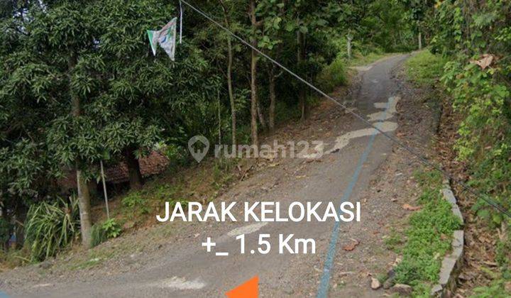 Tanah Murah View Pantai Pinggir Jalan Desa Simpenan Sukabumi 6