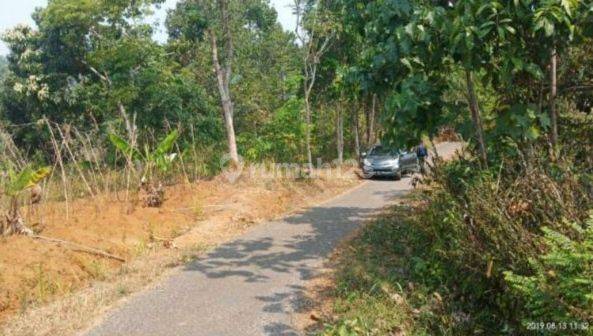 Tanah the best view buat Villa dan Berkebun Cikidang Sukabumi 1