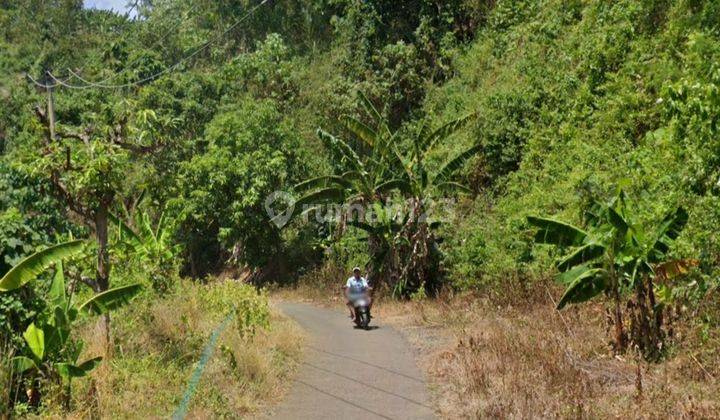 Tanah Murah 16 Ha The Best View Pinggir Jalan Desa Simpenan Sukabumi 3