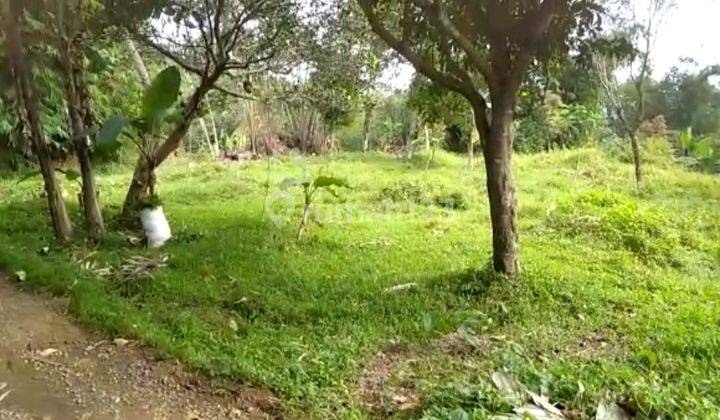 Tanah Murah Tanah Datar Persegi Lingkungan Sejuk Sukajaya Bogor 3