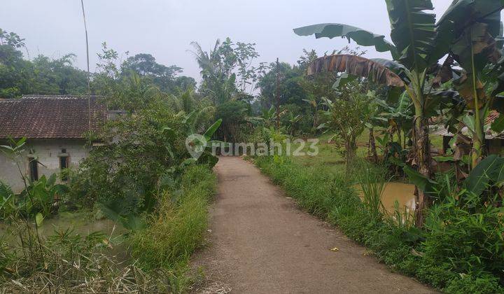 Tanah Siap Bangun Lingkungan Sejuk Ranca Bungur Bogor 1