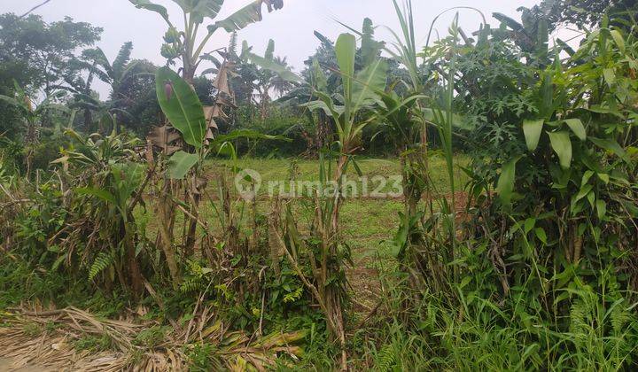 Tanah Siap Bangun Lingkungan Sejuk Ranca Bungur Bogor 3