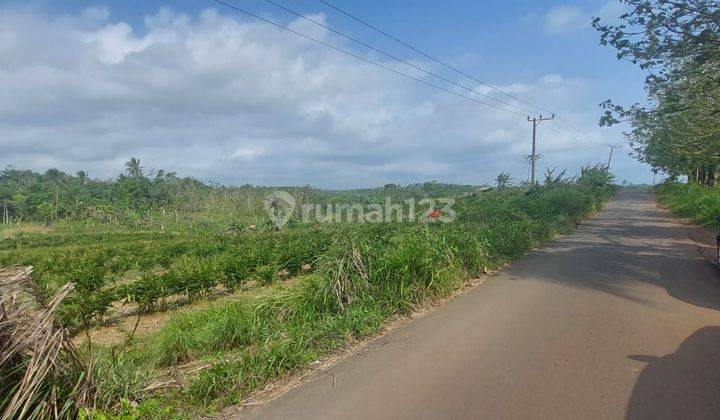 Tanah Murah Pinggir Jalan Raya Provinsi Ciemas Sukabumi 1