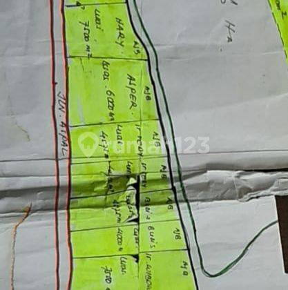 Tanah Murah Pinggir Jalan Raya Provinsi Ciemas Sukabumi 5