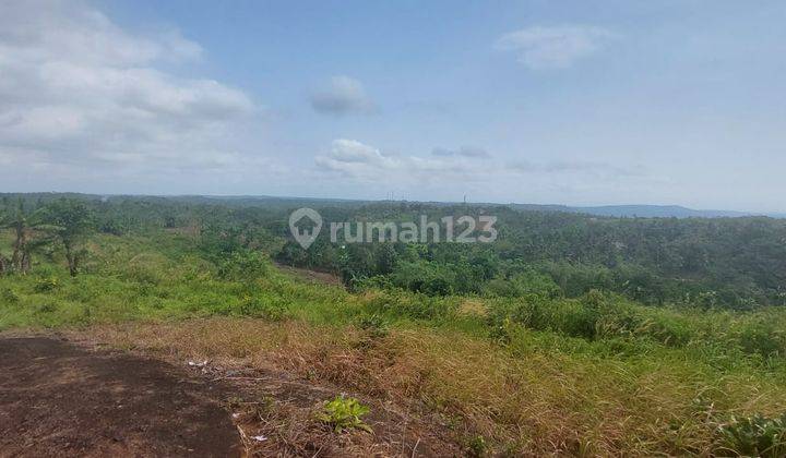 Tanah Murah 11.7 haktare Pinggir jalan desa Ciemas sukabumi 1