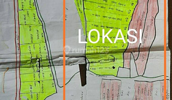 Tanah Murah 11.7 haktare Pinggir jalan desa Ciemas sukabumi 4