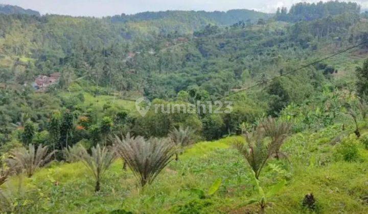 Tanah The Best View Pinggir Jalan Nagrak Sukabumi 9