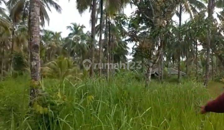 Tanah Murah Datar Dekat Pantai Waluran Sukabumi 3