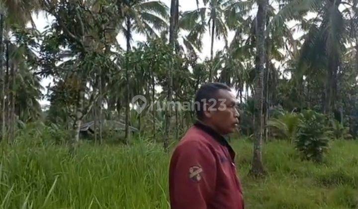 Tanah Murah Datar Dekat Pantai Waluran Sukabumi 4