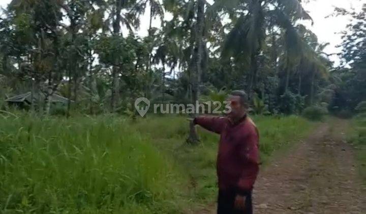 Tanah Murah Datar Dekat Pantai Waluran Sukabumi 6
