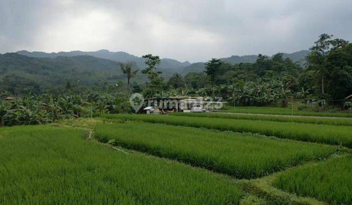 Tanah Sawah Rumah+Gudang The Best View Ligarmukti Klapanunggal Bogor 5