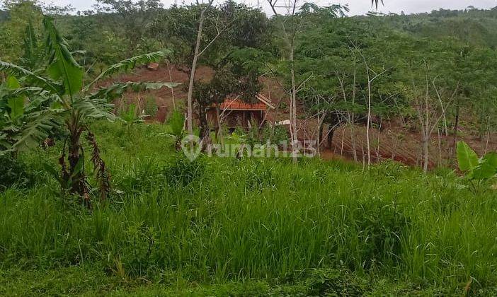 Tanah murah shm nuansa pegunungan waluran sukabumi 4