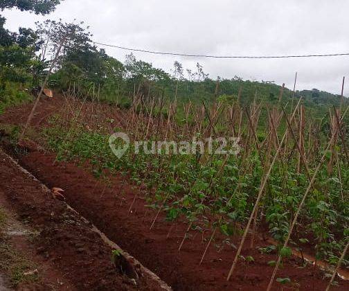 Tanah murah shm nuansa pegunungan waluran sukabumi 6
