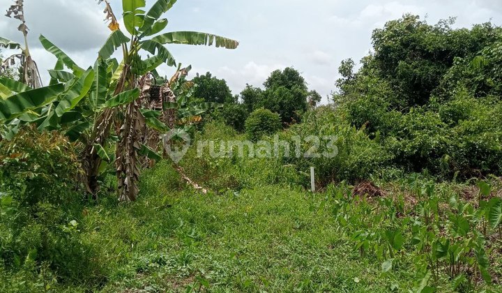 Tanah 2 kavling Hadap Barat Daya Siap Bangun dekat Hotel Harmoni Serdam Kotamadya 4