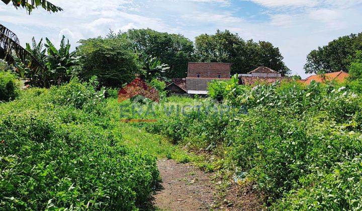 Di jual tanah kosong tengah kota pasuruan, cocok untuk usaha komersial: Supermarket, Rumah Sakit, Komplek Ruko, Pergudangan. 4