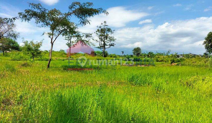 Tanah Jual di Raya Purwodadi, cocok di bangun untuk ruko, gudang dll. 3
