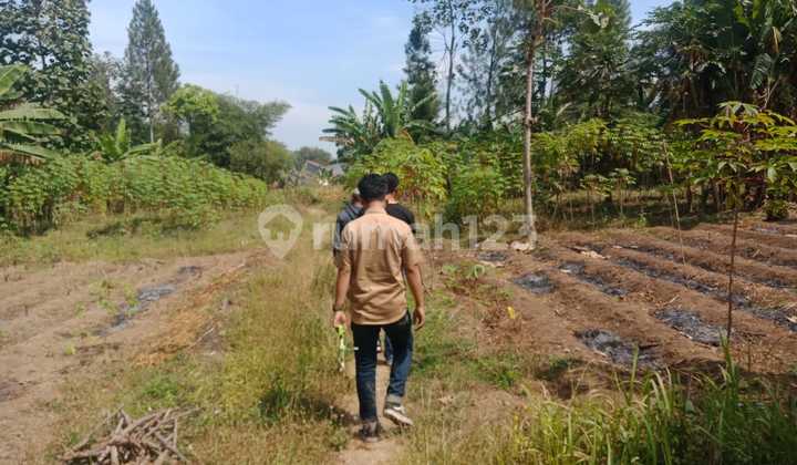 Tanah Datar Siap Bangun Lokasi Strategis Cimalaka Cocok Untuk Perumahan Pergudangan 2