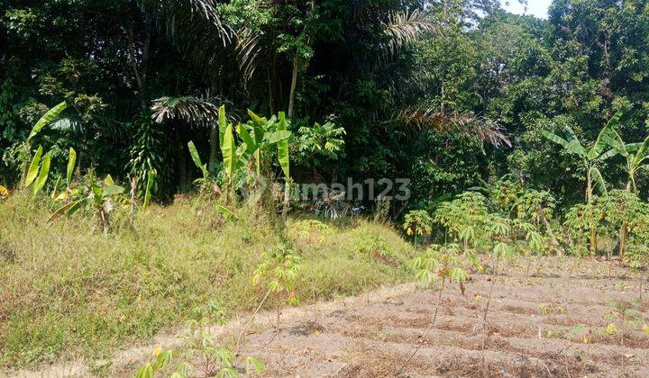 Tanah Datar Siap Bangun Lokasi Strategis Cimalaka Cocok Untuk Perumahan Pergudangan 1