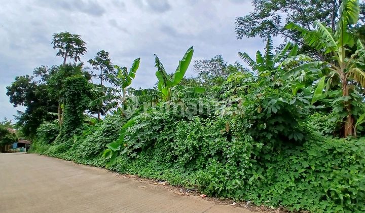 For Sale Productive Land for Hotel or Villa in Anyer For Sale Productive Land for Hotel or Villa in Anyer