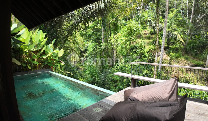 Tropical 1 Bedroom Villa In Ubud With River View