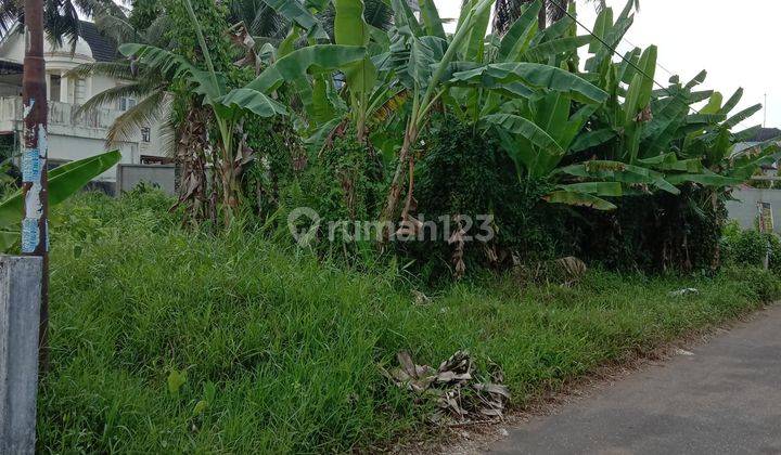 Tanah Jalan Sultan Abdulrahman BLKI Gang Sawit, Pontianak Kota 1