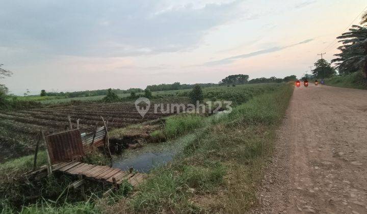 Tanah Jalan Bpk Mega Timur 28 Oktober, Kubu Raya Pontianak 2