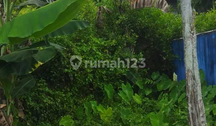 Land Road 822 (Ayani 2), Kubu Raya - Pontianak