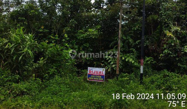 Tanah Jalan Trans Kalimantan Desa Mega Timur, Kubu Raya Pontianak 2