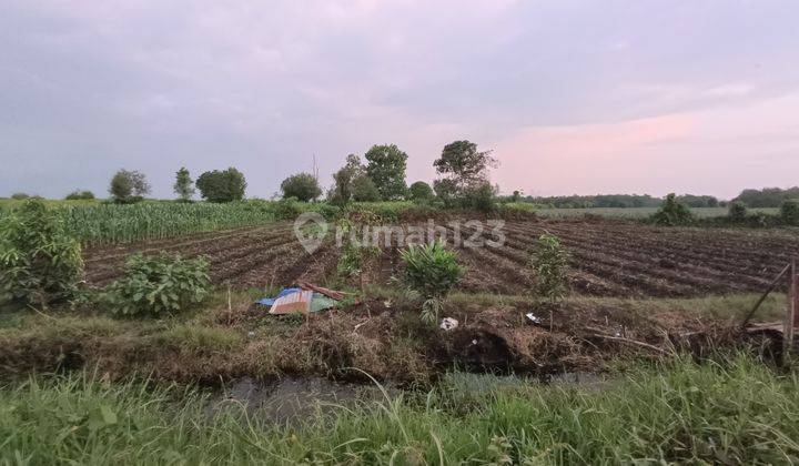 Tanah Jalan Bpk Mega Timur 28 Oktober, Kubu Raya Pontianak 1