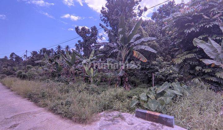 Tanah Kebun Jalan Pal Ix Sungai Kakap, Kubu Raya Pontianak 2