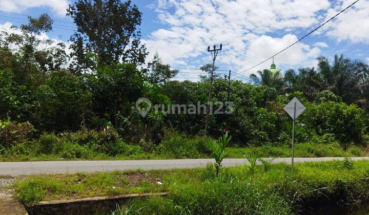 Tanah Jalan Trans Kalimantan Desa Mega Timur, Kubu Raya Pontianak 1