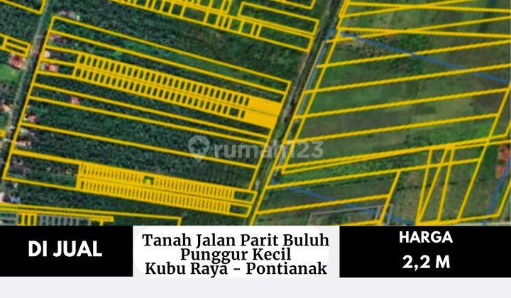 Tanah Jalan Parit Buluh Punggur Kecil, Kubu Raya Pontianak 2