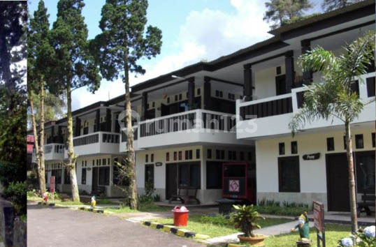 Hotel dan Resort di Puncak Hotel dan Resort di Puncak