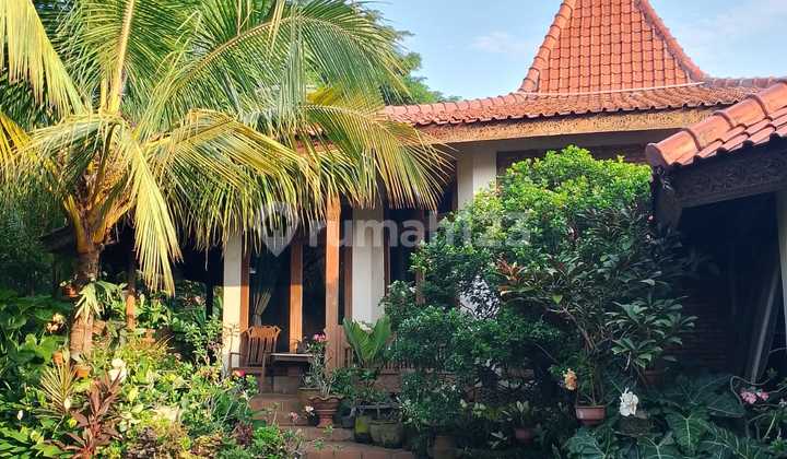 Rumah Joglo Halaman Taman Luas Di Hook Lokasi Kalibata  2