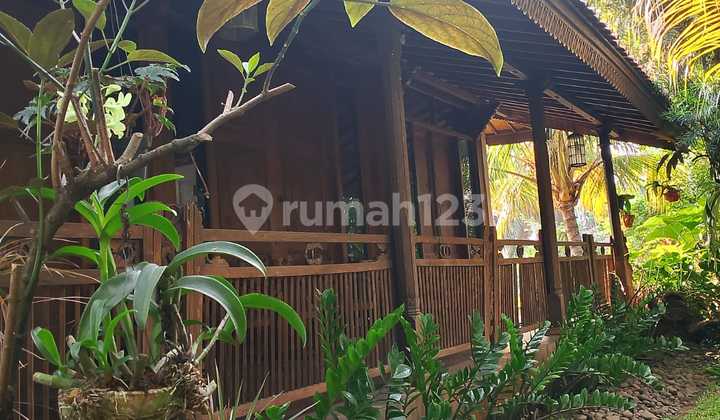 Rumah Joglo Halaman Taman Luas Di Hook Lokasi Kalibata 