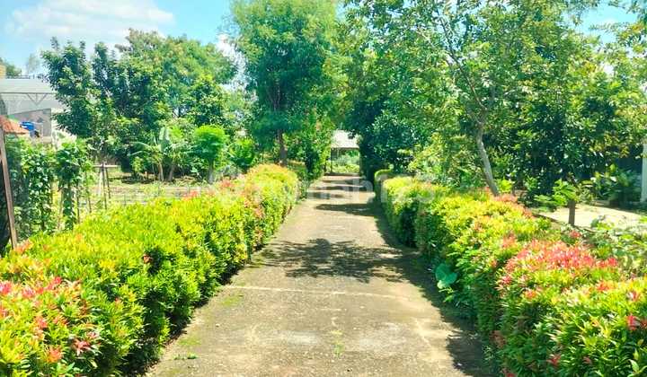 Jual Tanah 3097M2 Jagakarsa, Jalan Depan 2 Arah, Cocok Dibangun Cluster Perumahan, Hak Milik, Strategis, Harga Nego Sampai Jadi Jual Tanah 3097M2 Jagakarsa, Jalan Depan 2 Arah, Cocok Dibangun Cluster Perumahan, Hak Milik, Strategis, Harga Nego Sampai Jadi