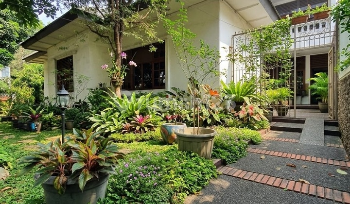 Wide Hook House Land Calculation Ready to Live Modern Tropical in Menteng