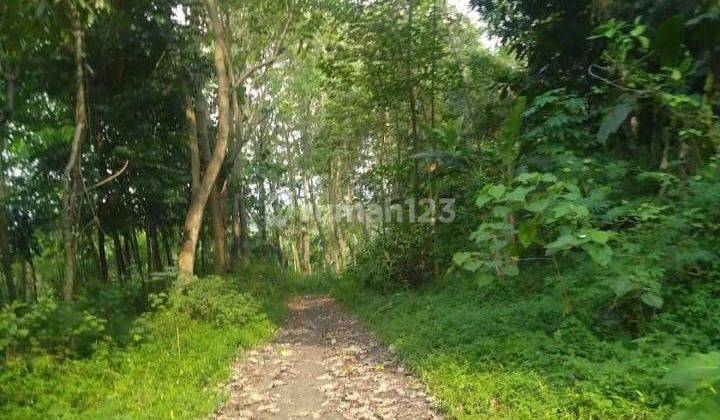 Tanah Main Road Subang Jalur Wisata Arah Lembang 4
