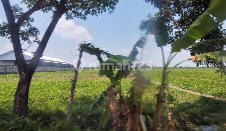 Dijual Tanah Lokasi Strategis Di Raya Bakalan Bojonegoro Murah 3