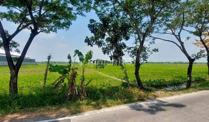 Dijual Tanah Lokasi Strategis Di Raya Bakalan Bojonegoro Murah 6